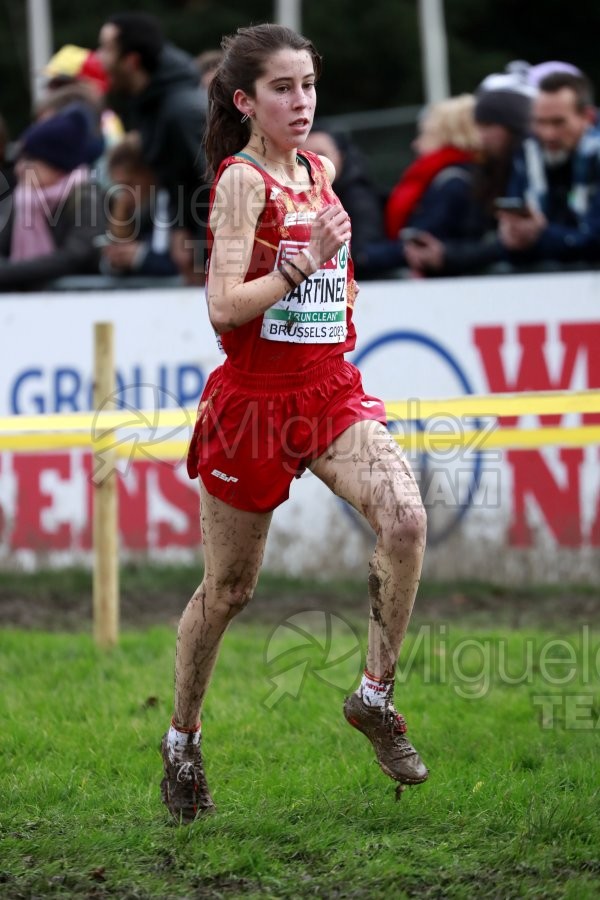 Campeonato de Europa de Campo a Través (Bruselas) 10-12-2023. 