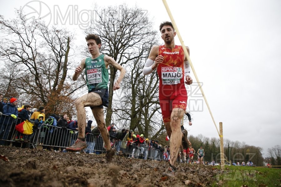 Campeonato de Europa de Campo a Través (Bruselas) 10-12-2023. 