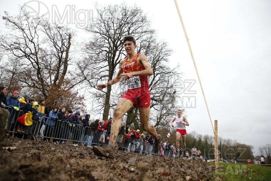 Campeonato de Europa de Campo a Través (Bruselas) 10-12-2023. 