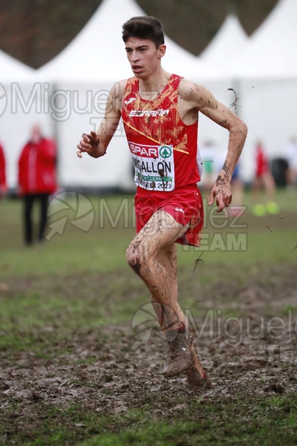 Campeonato de Europa de Campo a Través (Bruselas) 10-12-2023. 