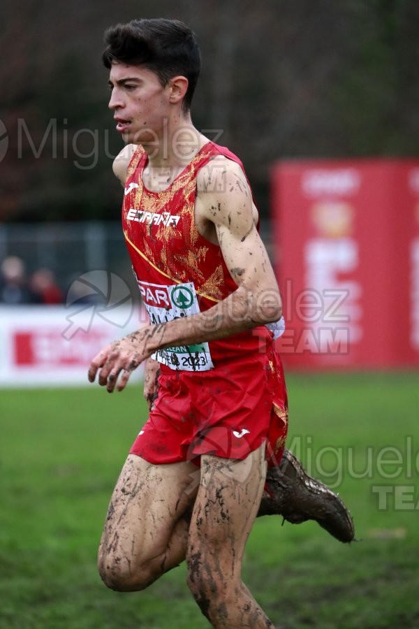 Campeonato de Europa de Campo a Través (Bruselas) 10-12-2023. 