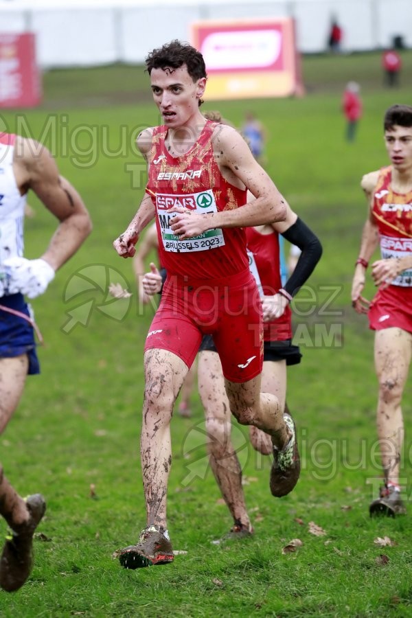 Campeonato de Europa de Campo a Través (Bruselas) 10-12-2023. 