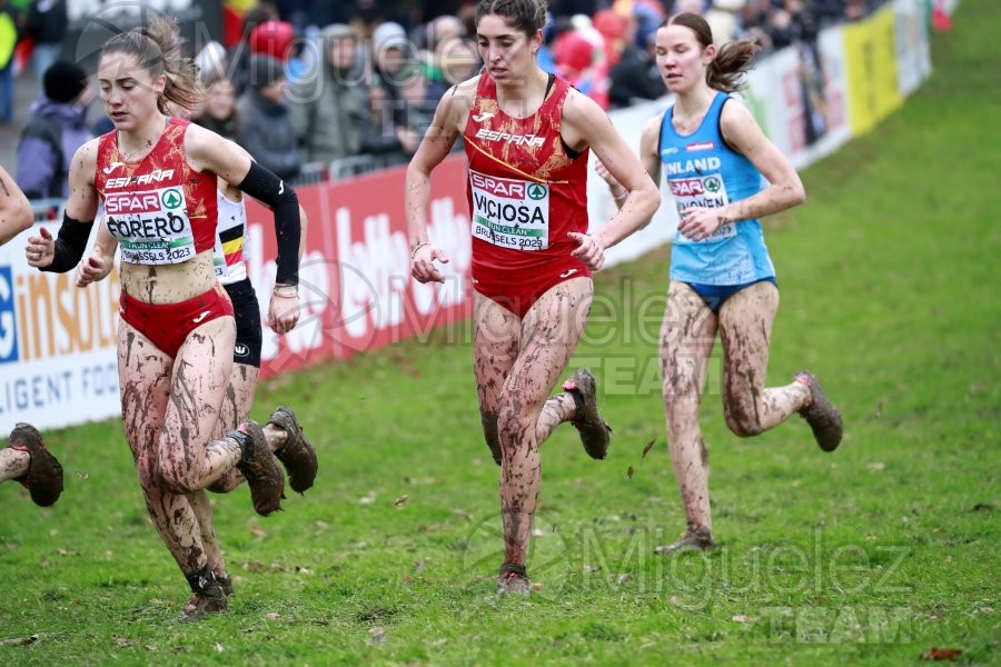 Campeonato de Europa de Campo a Través (Bruselas) 10-12-2023. 