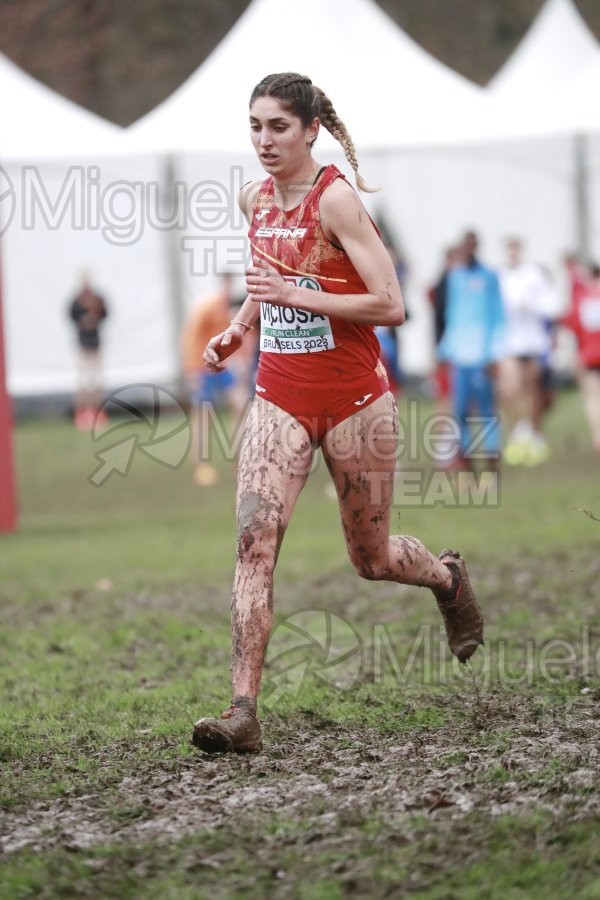 Campeonato de Europa de Campo a Través (Bruselas) 10-12-2023. 