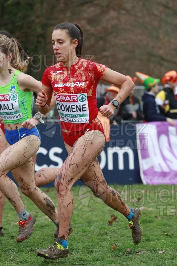 Campeonato de Europa de Campo a Través (Bruselas) 10-12-2023. 