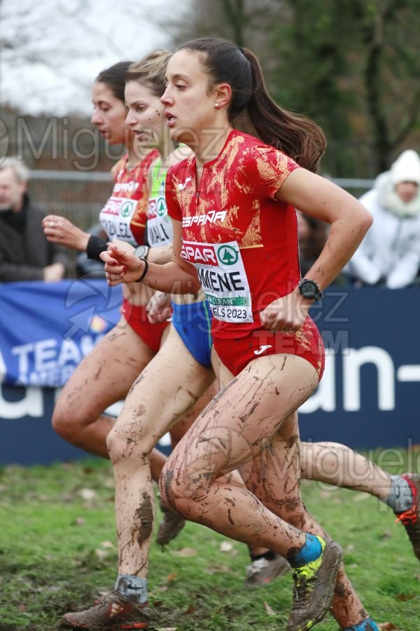 Campeonato de Europa de Campo a Través (Bruselas) 10-12-2023. 