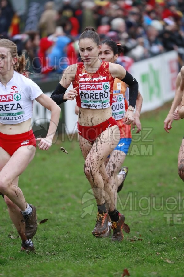 Campeonato de Europa de Campo a Través (Bruselas) 10-12-2023. 