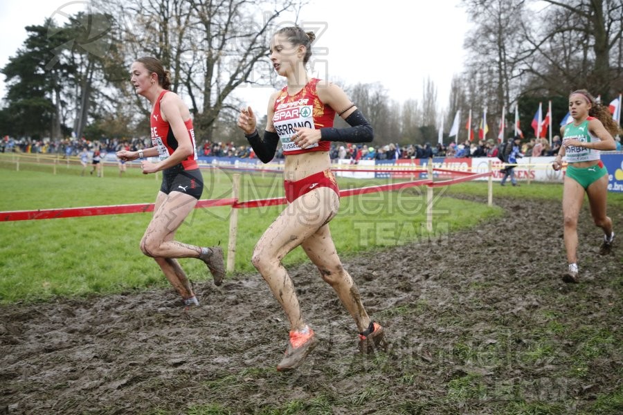 Campeonato de Europa de Campo a Través (Bruselas) 10-12-2023. 