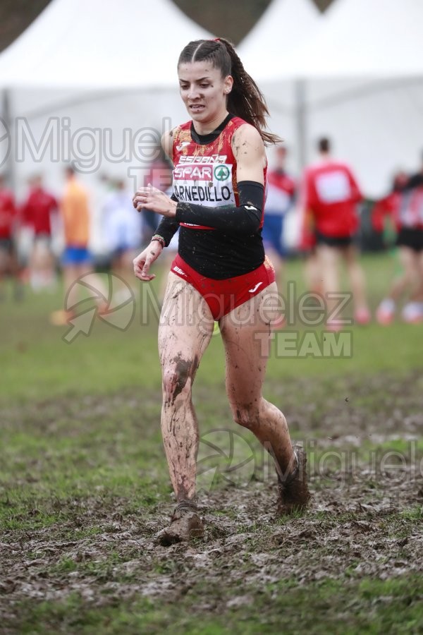 Campeonato de Europa de Campo a Través (Bruselas) 10-12-2023. 