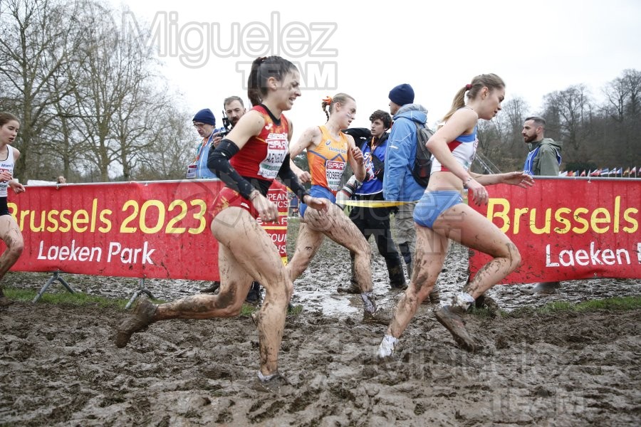 Campeonato de Europa de Campo a Través (Bruselas) 10-12-2023. 