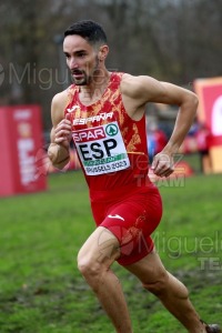 Campeonato de Europa de Campo a Través (Bruselas) 10-12-2023. 