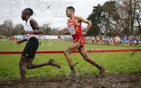 Campeonato de Europa de Campo a Través (Bruselas) 10-12-2023. 