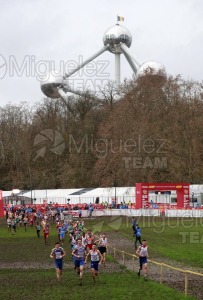 Campeonato de Europa de Campo a Través (Bruselas) 10-12-2023. 