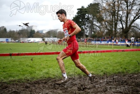 Campeonato de Europa de Campo a Través (Bruselas) 10-12-2023. 