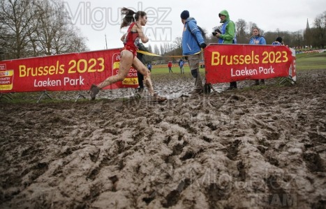 Campeonato de Europa de Campo a Través (Bruselas) 10-12-2023. 