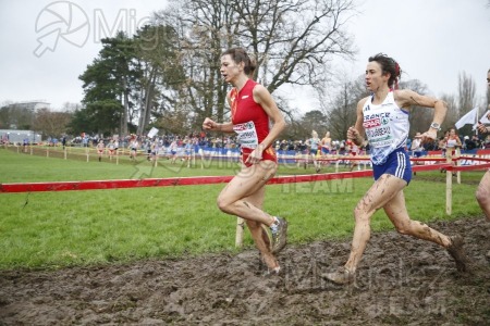 Campeonato de Europa de Campo a Través (Bruselas) 10-12-2023. 