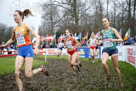 Campeonato de Europa de Campo a Través (Bruselas) 10-12-2023. 