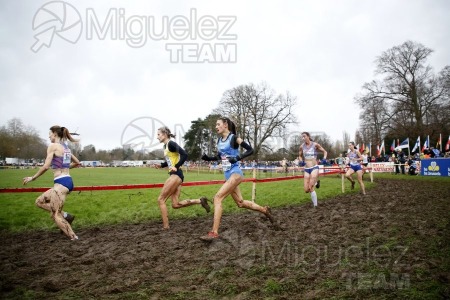 Campeonato de Europa de Campo a Través (Bruselas) 10-12-2023. 