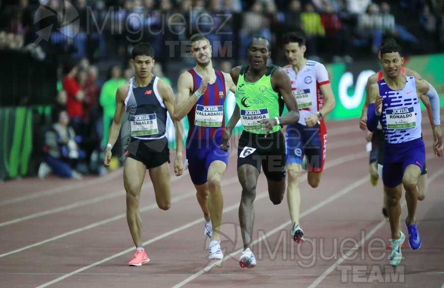 Final World Indoor Tour Gold (Madrid) 2024.