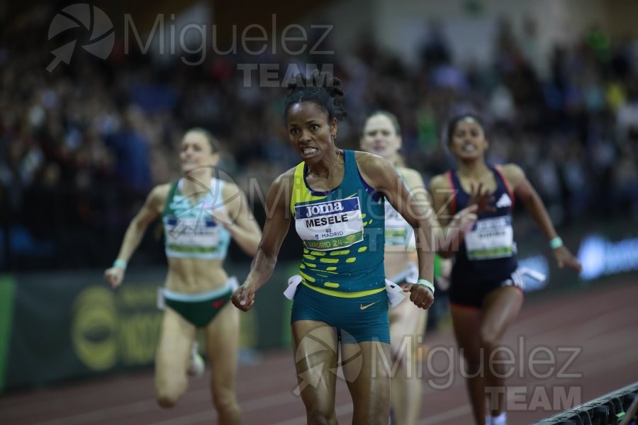 Final World Indoor Tour Gold (Madrid) 2024.