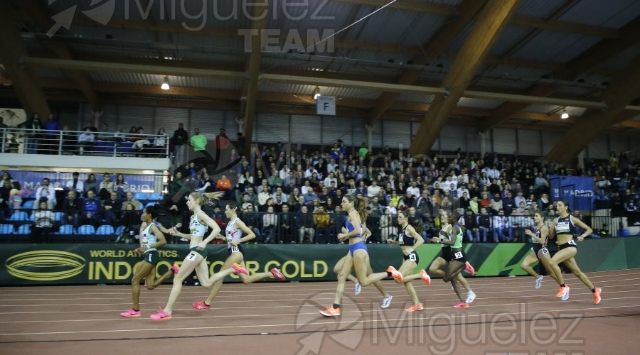 Final World Indoor Tour Gold (Madrid) 2024.