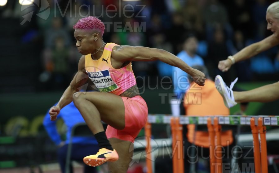 Final World Indoor Tour Gold (Madrid) 2024.