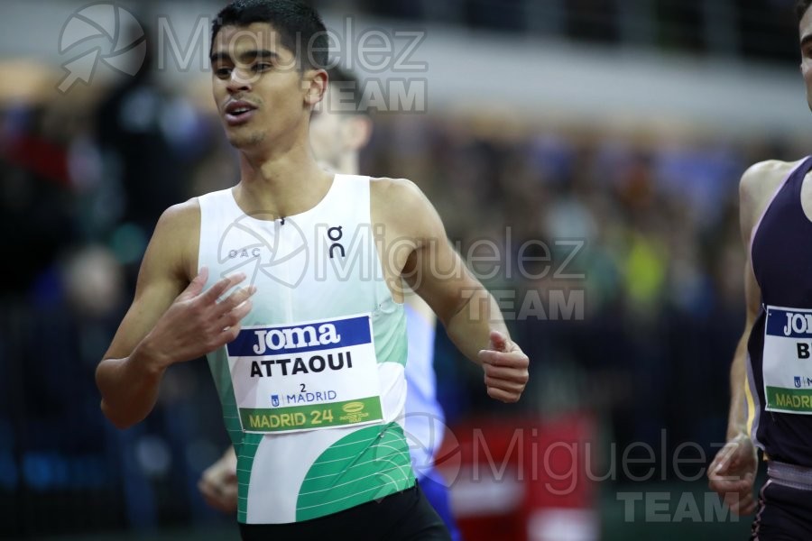 Final World Indoor Tour Gold (Madrid) 2024.