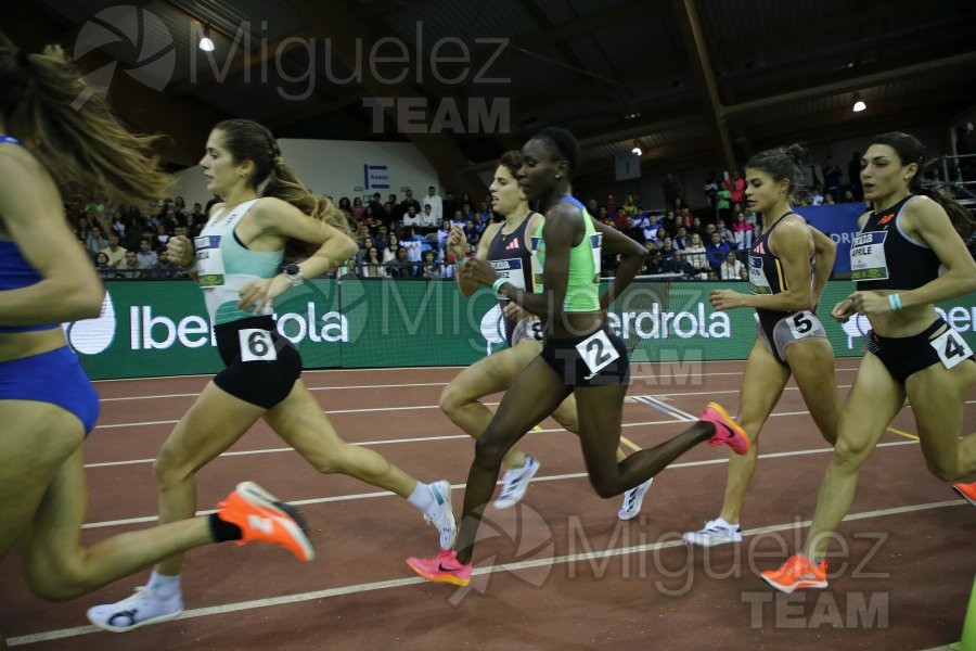 Final World Indoor Tour Gold (Madrid) 2024.