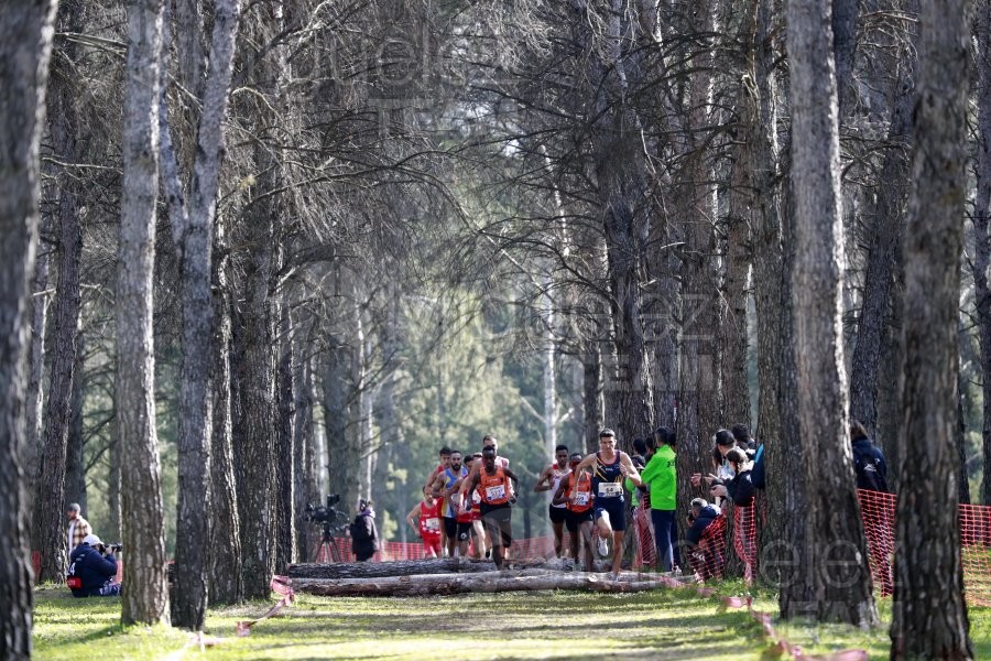 Campeonato de España de Campo a Través Individual y Federaciones (Getafe) 2024. 