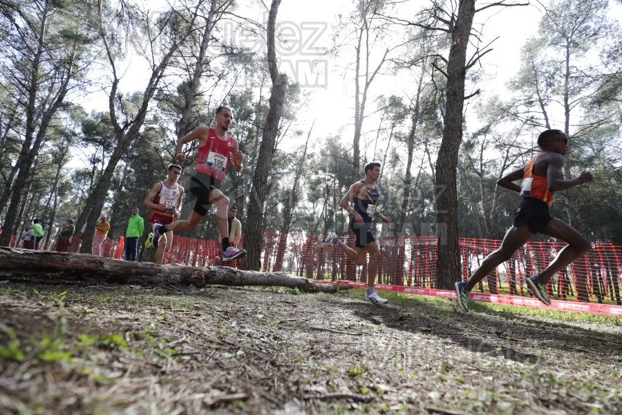 Campeonato de España de Campo a Través Individual y Federaciones (Getafe) 2024. 