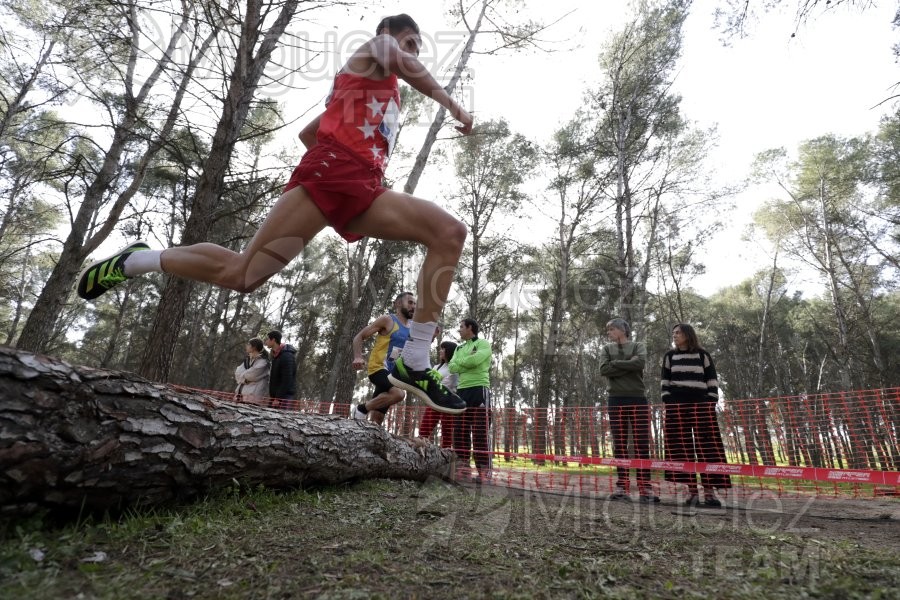 Campeonato de España de Campo a Través Individual y Federaciones (Getafe) 2024. 