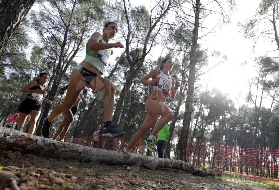 Campeonato de España de Campo a Través Individual y Federaciones (Getafe) 2024. 