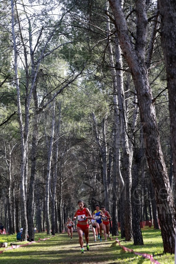 Campeonato de España de Campo a Través Individual y Federaciones (Getafe) 2024. 