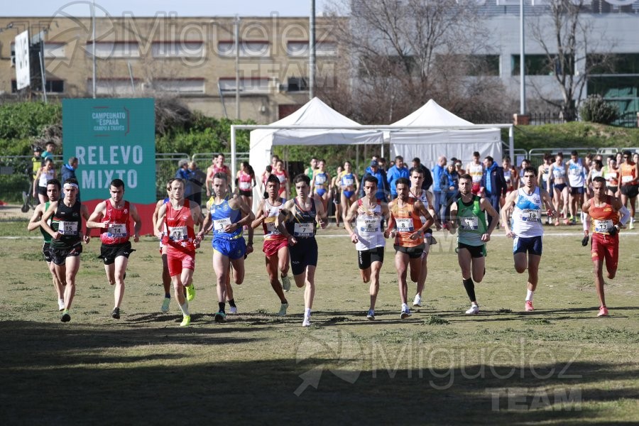 Campeonato de España de Campo a Través Individual y Federaciones (Getafe) 2024. 