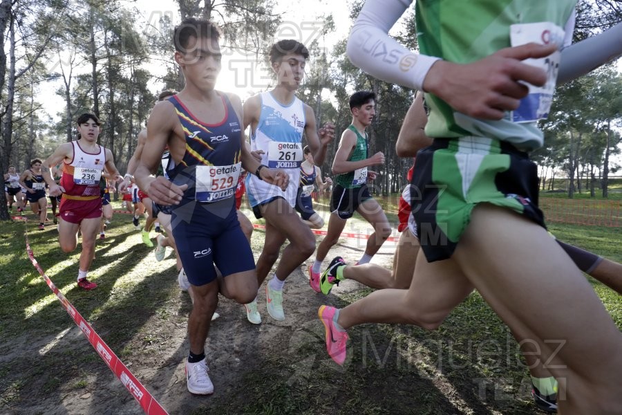 Campeonato de España de Campo a Través Individual y Federaciones (Getafe) 2024. 