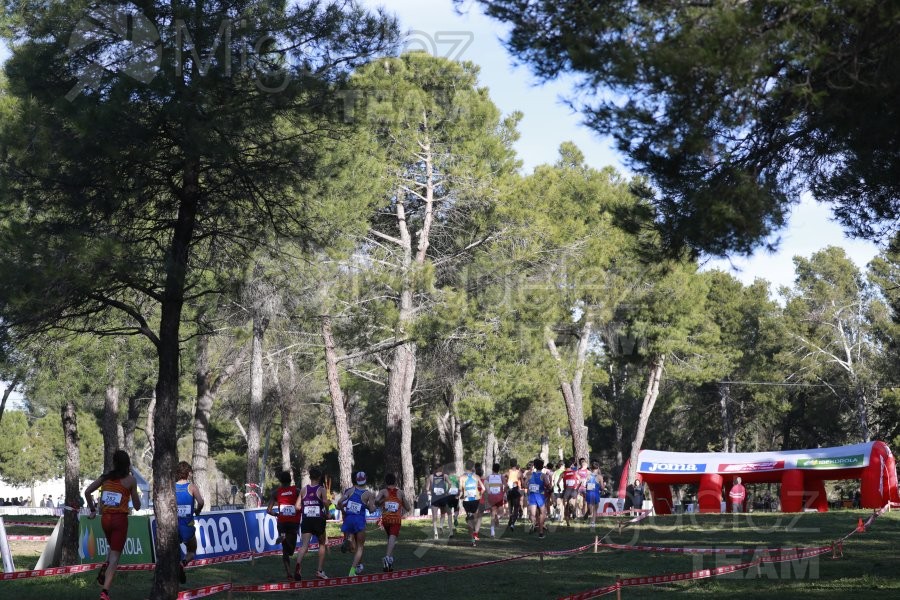 Campeonato de España de Campo a Través Individual y Federaciones (Getafe) 2024. 