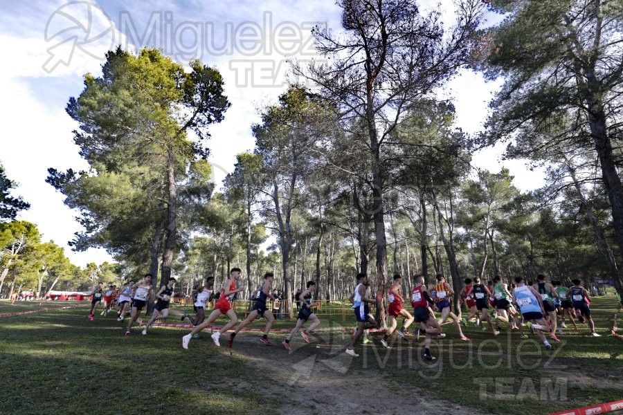 Campeonato de España de Campo a Través Individual y Federaciones (Getafe) 2024. 