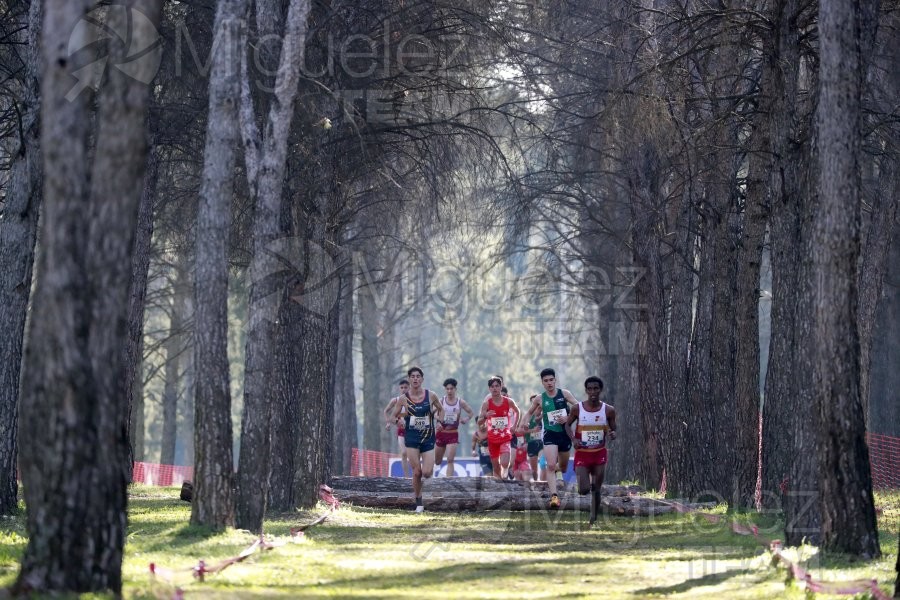 Campeonato de España de Campo a Través Individual y Federaciones (Getafe) 2024. 