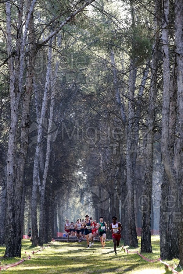 Campeonato de España de Campo a Través Individual y Federaciones (Getafe) 2024. 