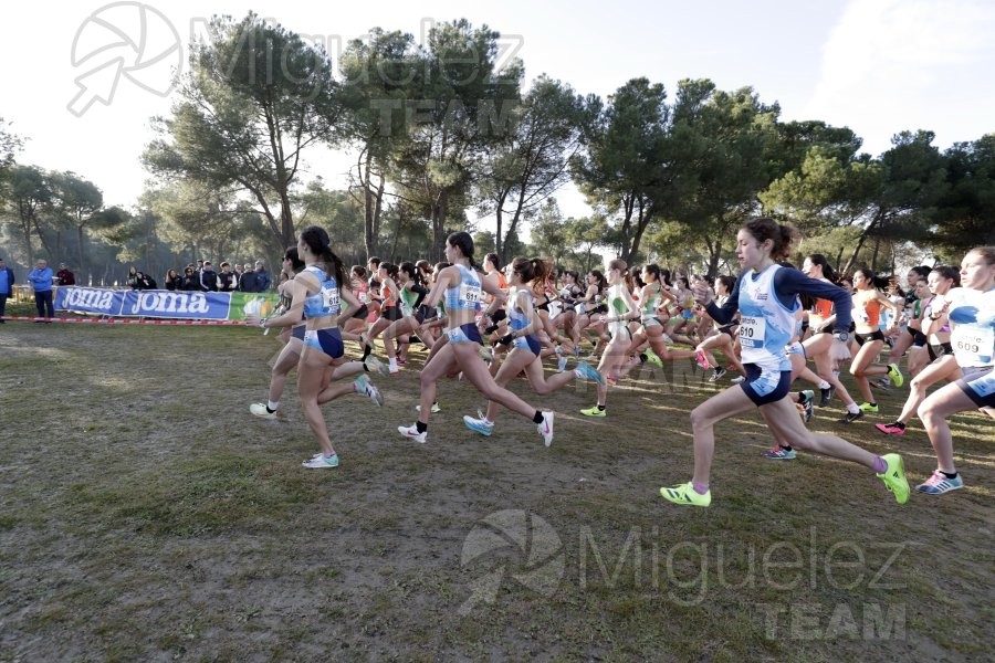 Campeonato de España de Campo a Través Individual y Federaciones (Getafe) 2024. 