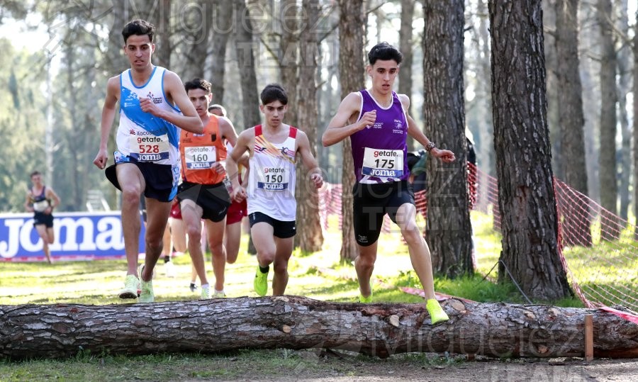 Campeonato de España de Campo a Través Individual y Federaciones (Getafe) 2024. 