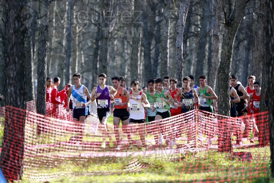 Campeonato de España de Campo a Través Individual y Federaciones (Getafe) 2024. 