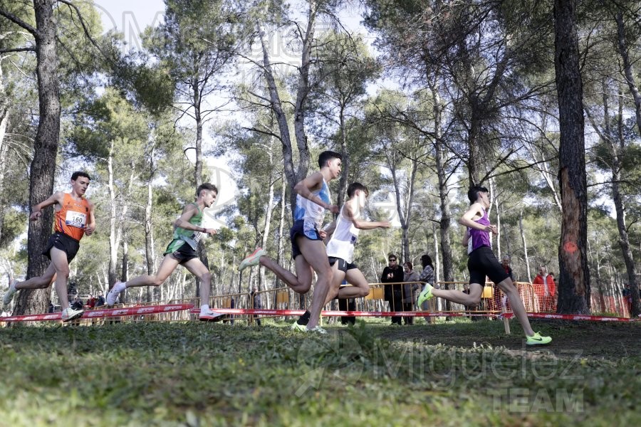 Campeonato de España de Campo a Través Individual y Federaciones (Getafe) 2024. 