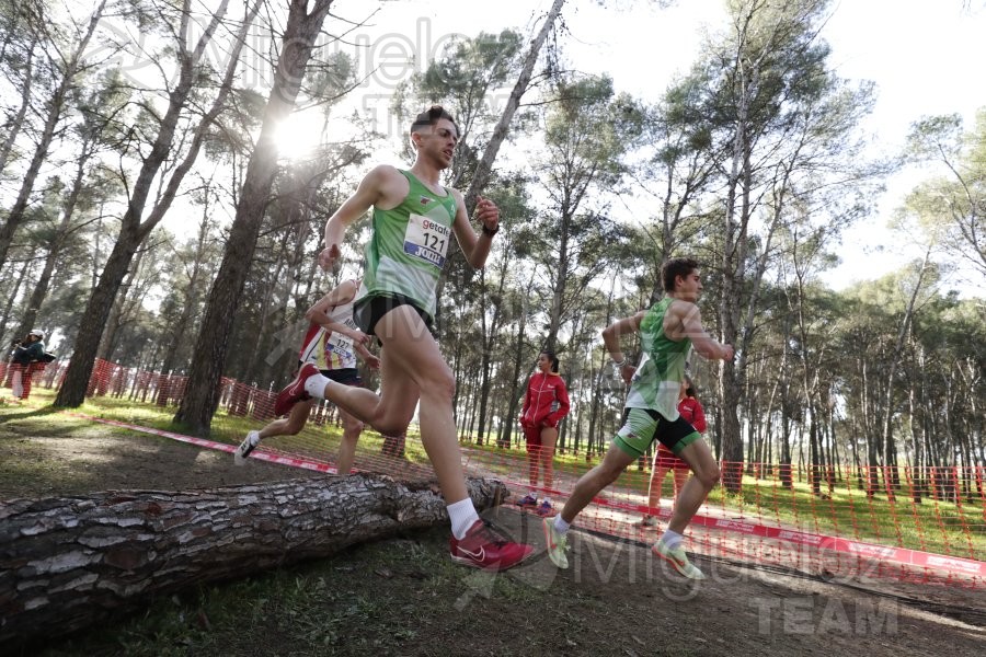 Campeonato de España de Campo a Través Individual y Federaciones (Getafe) 2024. 