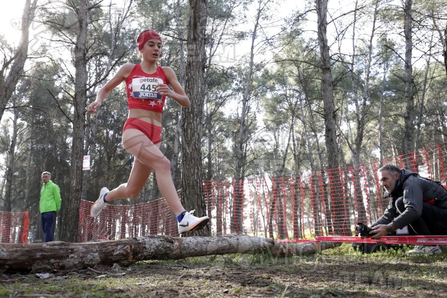 Campeonato de España de Campo a Través Individual y Federaciones (Getafe) 2024. 