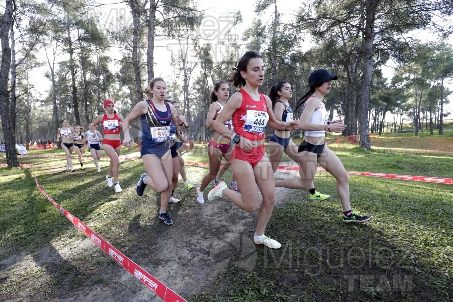 Campeonato de España de Campo a Través Individual y Federaciones (Getafe) 2024. 