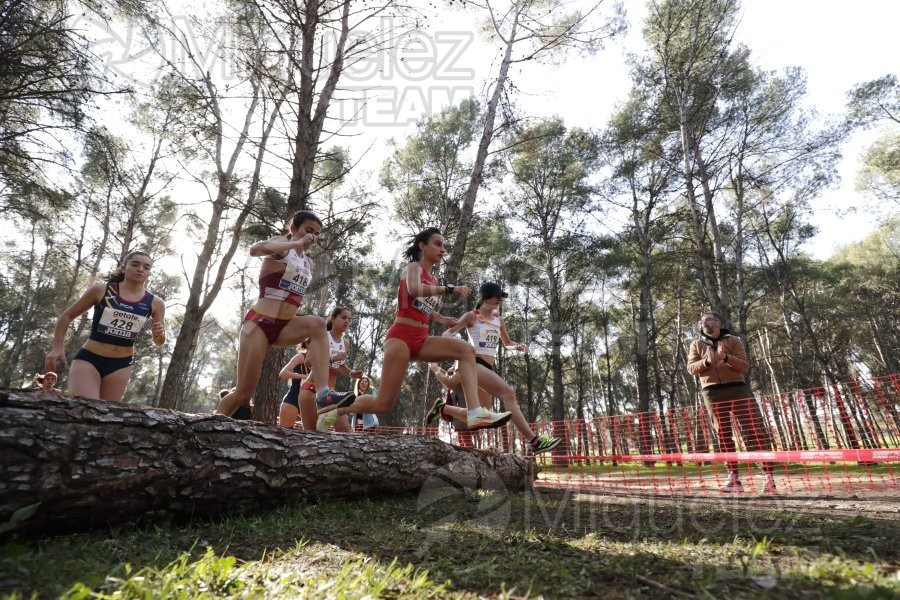 Campeonato de España de Campo a Través Individual y Federaciones (Getafe) 2024. 