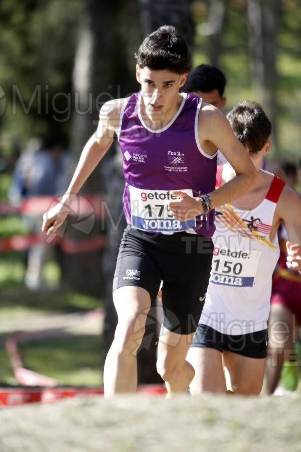 Campeonato de España de Campo a Través Individual y Federaciones (Getafe) 2024. 