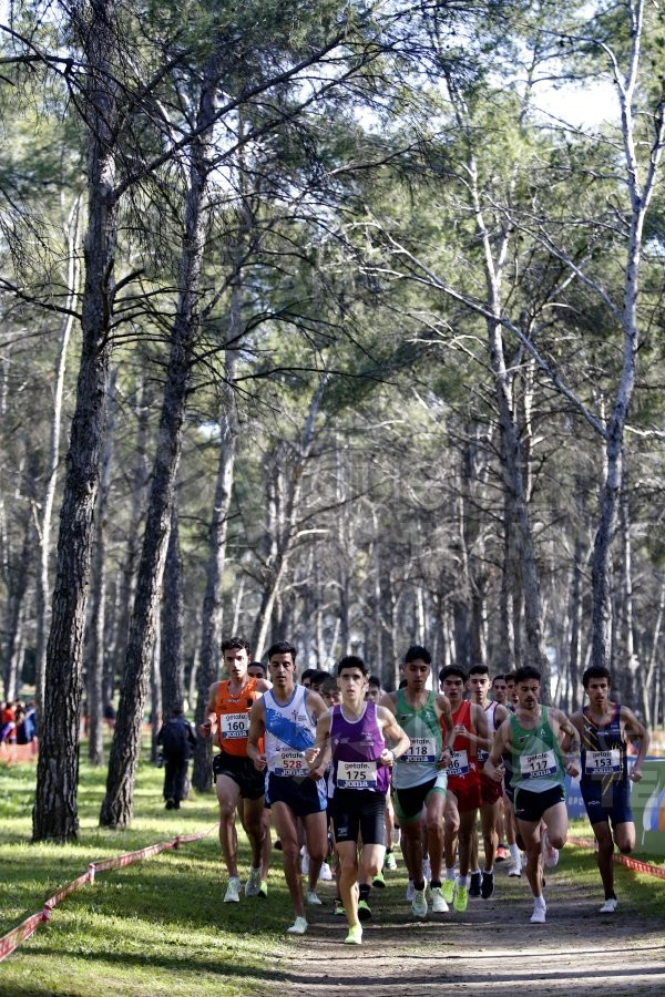 Campeonato de España de Campo a Través Individual y Federaciones (Getafe) 2024. 