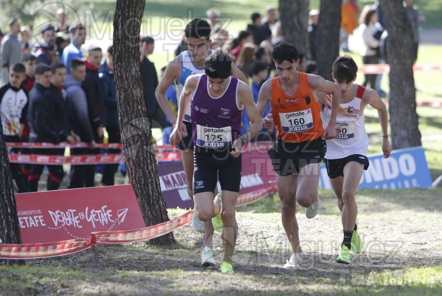 Campeonato de España de Campo a Través Individual y Federaciones (Getafe) 2024. 